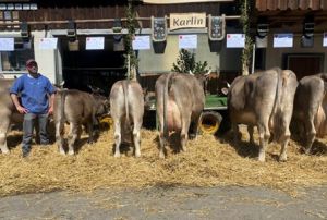 Karlo Karlin_Alex Immoss_ 82 Punkte